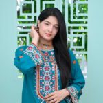 2 Piece Embroiderd Stitched Suit - DW04