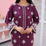 2 Piece Embroiderd Stitched Suit - DW09