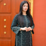 2 Piece Embroiderd Stitched Suit - DW07