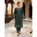 2 Piece Embroiderd Stitched Suit - DW15